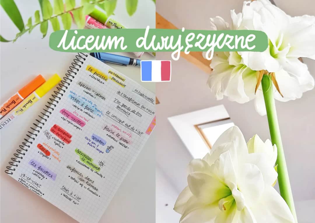 Czy warto uczyć się francuskiego? Odkryj korzyści i zalety tej decyzji